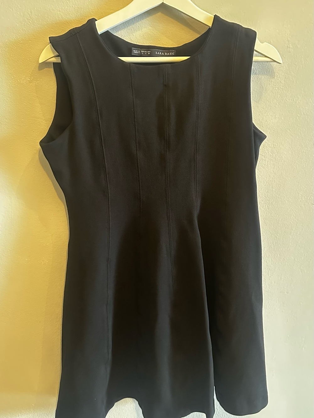 Zara Black Sleeveless A-Line Mini Dress